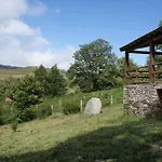 Branda Da Aveleira 브랜다 다 아벨레이라