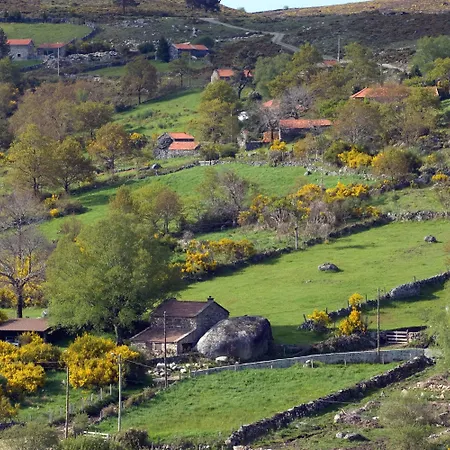 Branda Da Aveleira *