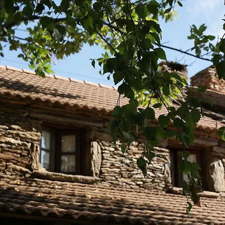 Holiday home Branda Da Aveleira *
