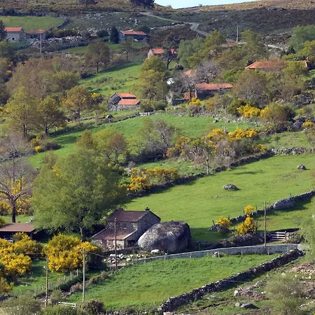 Branda Da Aveleira Holiday home *