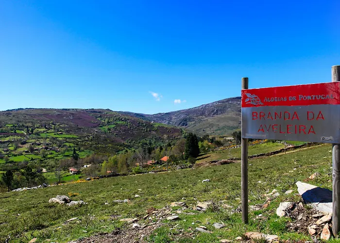 Branda da Aveleira Tatil Evi