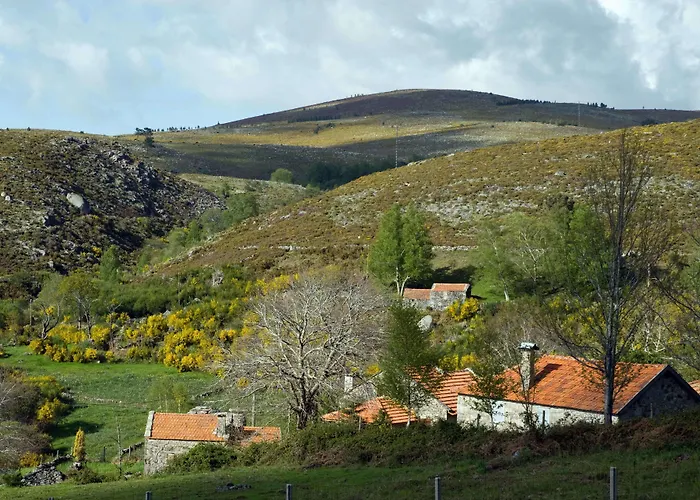 Tatil Evi Branda da Aveleira *