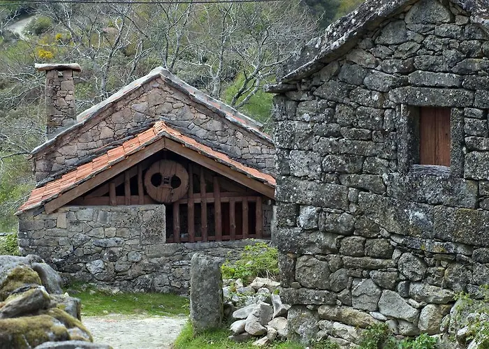 Tatil Evi Branda da Aveleira *