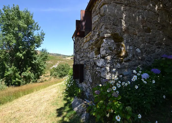 Tatil Evi Branda da Aveleira