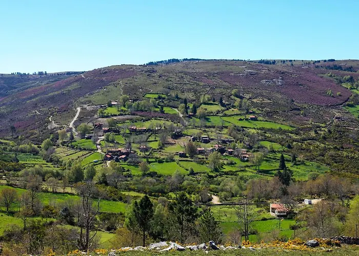 Tatil Evi Branda da Aveleira Branda da Aveleira